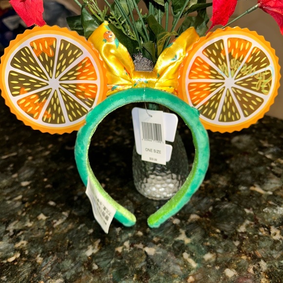 Epcot Orange Bird Disney Park Ears - Picture 2 of 5